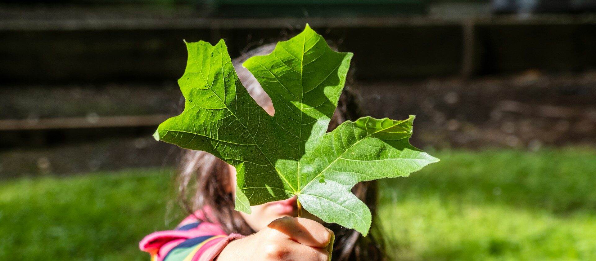 Pobyt venku a kontakt s přírodou